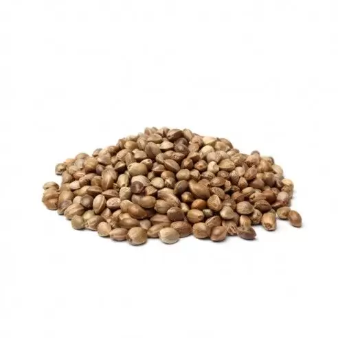 Kanapių Sėklos Krante.lt 1kg ( Pluoštinės Kanapės)
