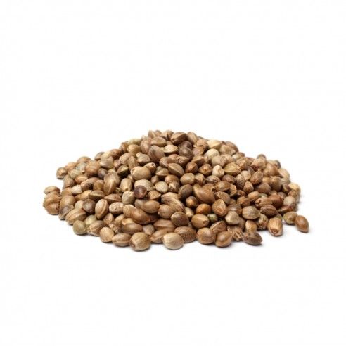 Hemp Seeds Krante.lt Can 600g.