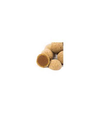 NashBait Citruz Cult Coated Hookbaits 20mm Gaudiminiai Boiliai