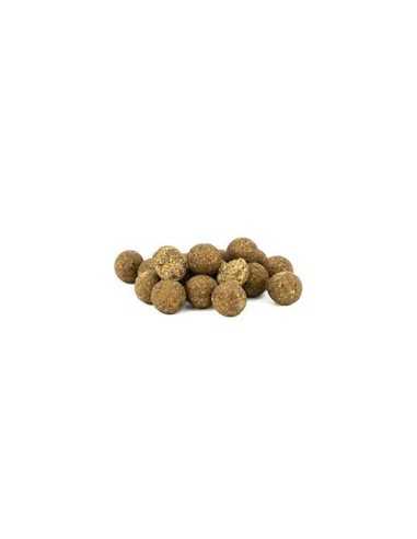 Nash Monster Shrimp Cult Coated Hookbaits 15mm Gaudiminiai Boiliai